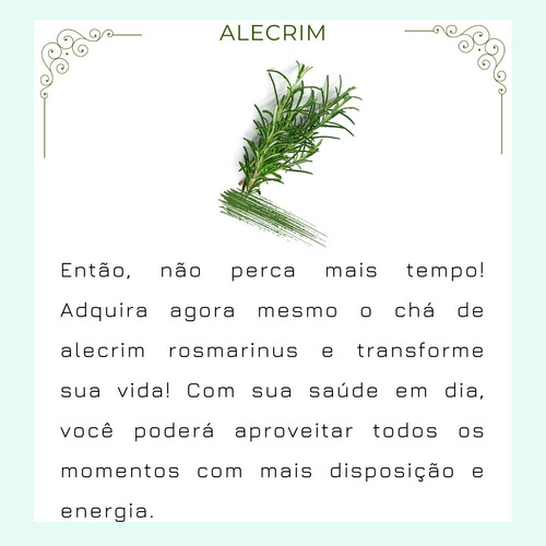 Chá De Alecrim Da Horta | Puro Rosmano-comum | Folhas Seca