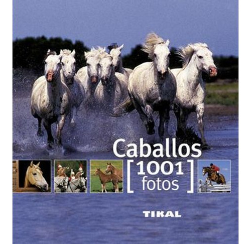 Libro Caballos 1001 Fotos - Caballos 1001 Fotos