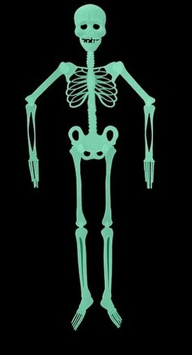 Esqueleto Calavera Brilla En La Oscuridad 30 Cm Halloween