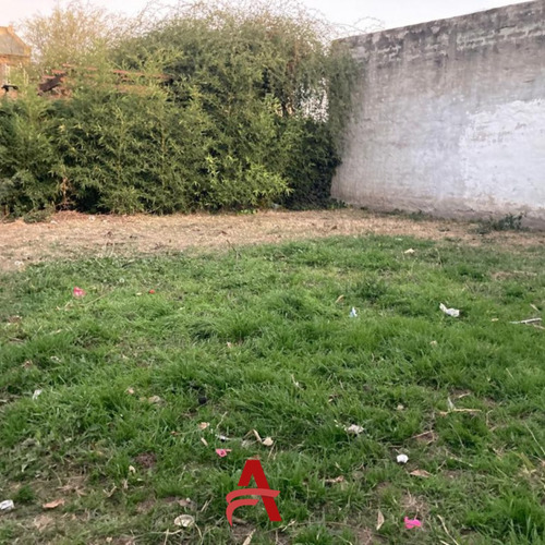 Imagen 4 de 4 de Casa 4 Hab.- 305 Mts Totales- Calle Muiz- Banda Norte