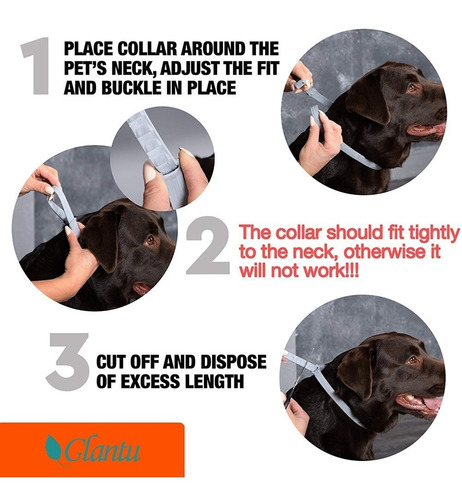 Collar Importado Antipulga Y Garrapatas Al Mayor Y Al Detal