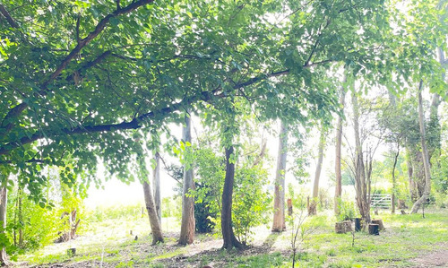Venta Campo En Villa Ruiz, San Andres De Giles.