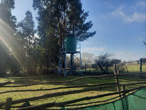 En Venta Acogedora Casa En Parcela De 5000 M2 En San Nicolas