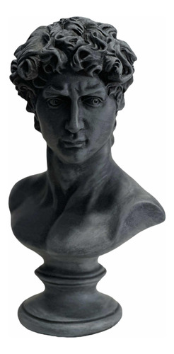 Escultura Griega Del Busto De David Estatua Decoración Arte