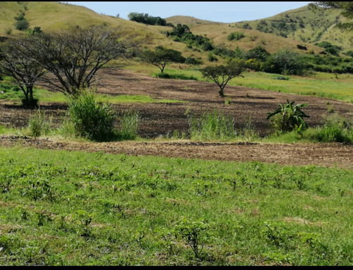 Venta Finca En Belén Edo Carabobo (mh)