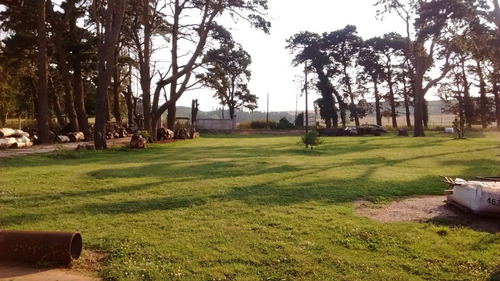 Imagen 19 de 25 de Campo Apto Vivienda O Emprendimiento Turístico.