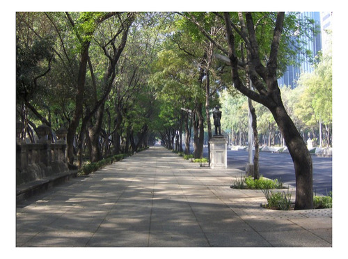 Imagen 3 de 4 de Terreno Uso De Suelo Mixto: Residencial - Comercial, Sobre A