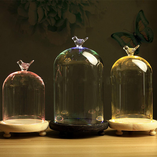Cristal Transparente Cloche Dome Showcase 9x11cm Pájaro