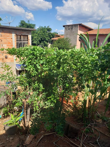 Imagem 3 de 5 de Lote - Novo Progresso - Ref: 49859 - V-49859