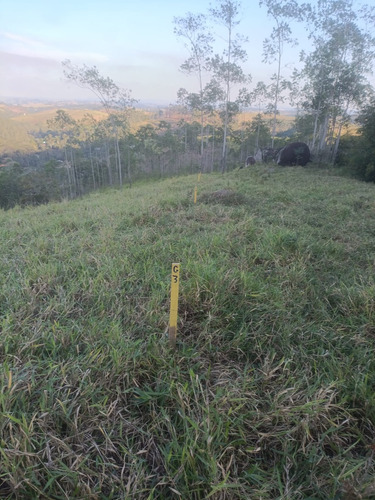 Lotes Em Igaratá - Boa Vista São Paulo
