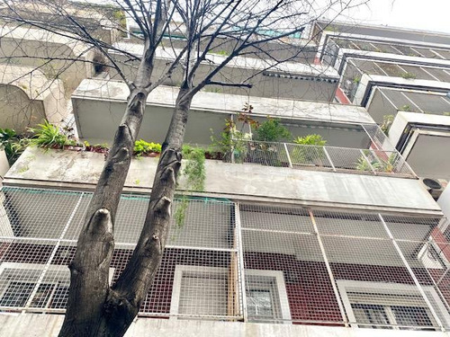 Imagen 2 de 2 de Departamento - Palermo
