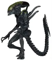 Comprar Grid Alien 20 Cm Figuras De Acción Neca Avp