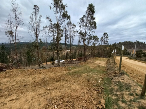 Imagen 6 de 9 de Gran Inversión