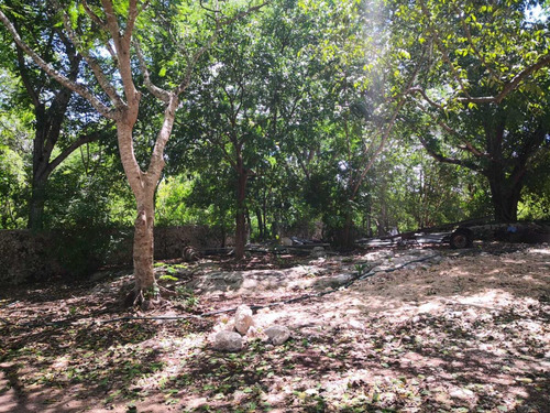 Terreno En Venta En Tulum Centro