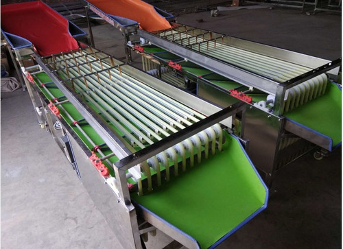 Seleccionadora Clasificadora Tamaño Fruta 2 A 4cm Tecnodeliv