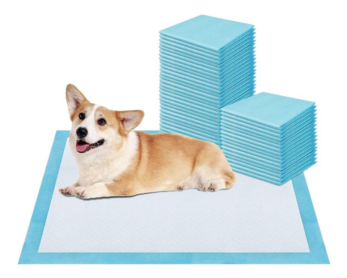 Pet Potty Training And Puppy Pee Pads Perros Super Abso...