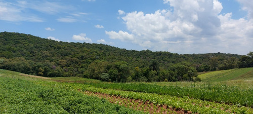 Imagem 12 de 20 de Vendo Terreno Com Otima Topografia / 15o