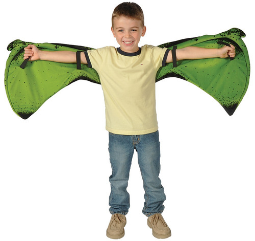 Alas De Pteranodon Accesorio De Disfraz Para Niño Halloween