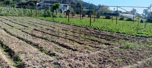 Lote De Terreno Para Operaciones De Carácter Agrícola.