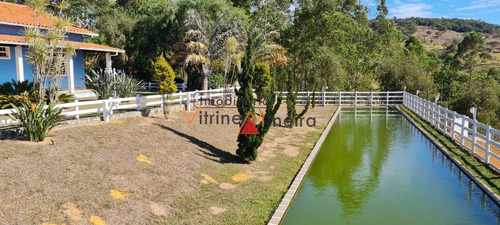 Imagem 10 de 15 de Fazenda Para Venda Em Crucilândia - 70509_2-1223566