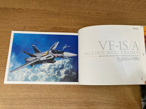 Tenjin Hidetaka Obras De Arte De Macross Valkyries(segundo)