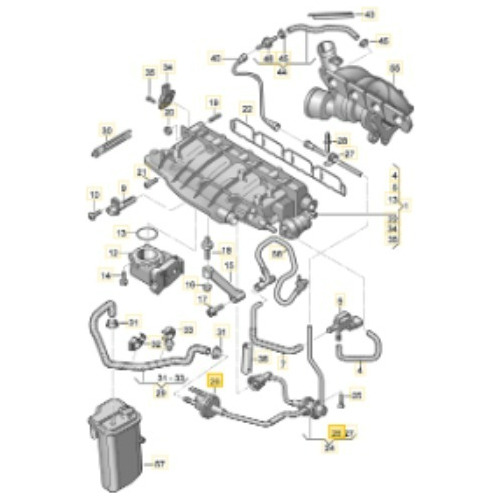 Valvula Purga Canister Oem: 06h 198 781 A