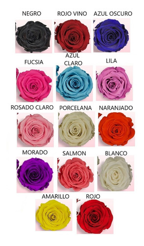 Rosa Preservada Premium 100% Natural + Cúpula + Envio Gratis