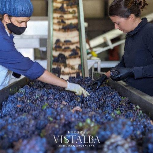 Imagen 2 de 10 de Vino Tomero Rosé Pinot Noir Caja X 6 X 750ml. - Vistalba