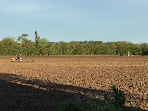 Excelente Campo De 24 Hectáreas Agrícola-ganadero En Los Cerrillos, Canelones 