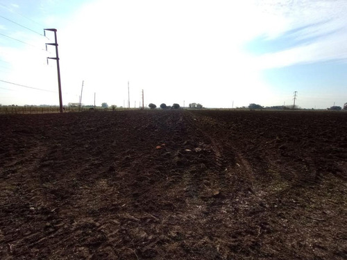 Imagen 15 de 17 de Venta Campo Quinta Chacra 7 Ha Virrey Del Pino