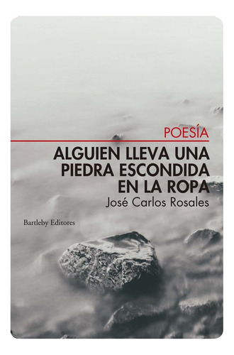 Alguien Lleva Una Piedra Escondida En La Ropa - Rosales,jose