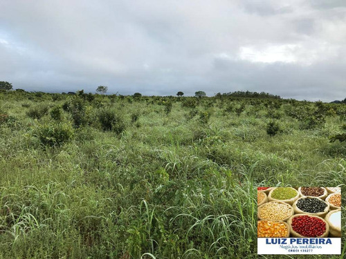 Imagem 9 de 15 de Fazenda À Venda Em Recursolândia - Ms - De 1.041 Alqueirões - 1648