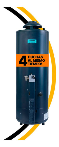 Termotanque Gas Eskabe Acquapiu H-1100 A6 Alta Recuperacion