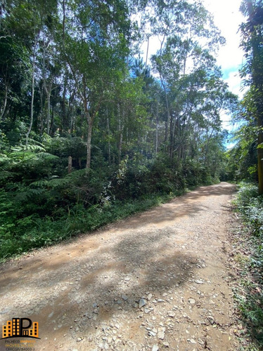 Imagem 11 de 15 de Chácara De 2.500m2 `a 2,5km Do Centro De Juquitiba À Venda Bairro Cachoerinha - Ch07781 - 69454197