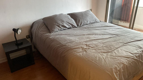 Arriendo Amoblado Marzo A Dic 1 Dormitorio