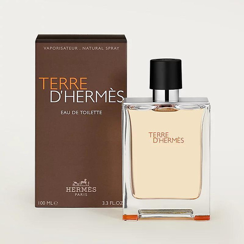 Terre D' Hermes Edt 100ml Perfume Masculino