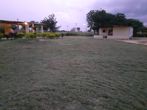 Imagen 3 de 15 de Finca En Venta, San Mateo, Anzoategui