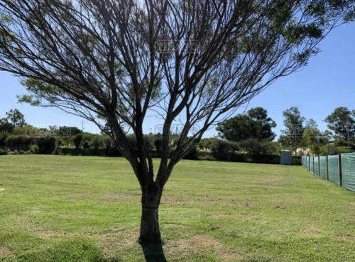 Terreno Lote  En Venta En El Cantón Norte, El Cantón, Escobar