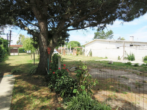 Imagen 4 de 20 de Venta Casa Y Apartamento Un Mismo Padrón Zona Lagomar