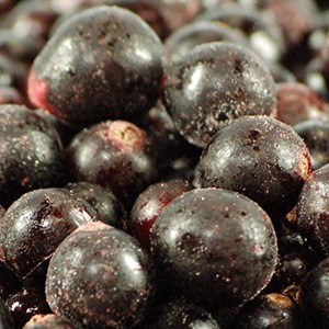Cassis Congelados I Q F - 1 Kg
