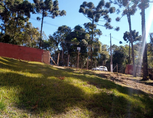 Imagem 7 de 13 de Terreno No Alto Da Boa Vista Próximo Ao Museu Felícia Lenner - 1