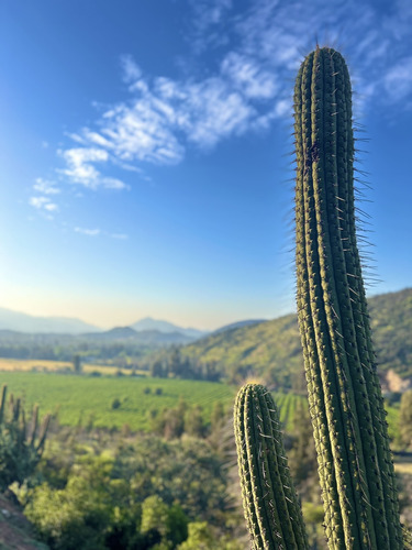 Parcela En Codegua Con Agua Y Luz