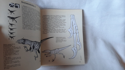 Imagen 5 de 10 de Guia De Campo De Los Dinosaurios Vvaa Edaf