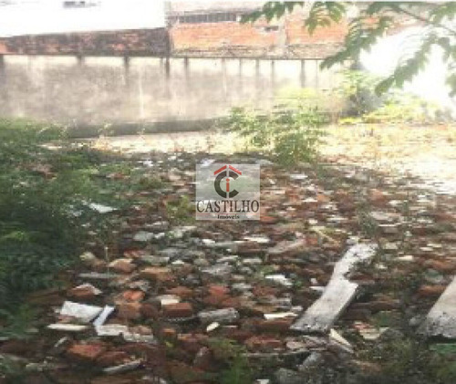 Imagem 2 de 4 de Terreno Comerial Na Cidade Patriarca Com 240m² - Mo20894