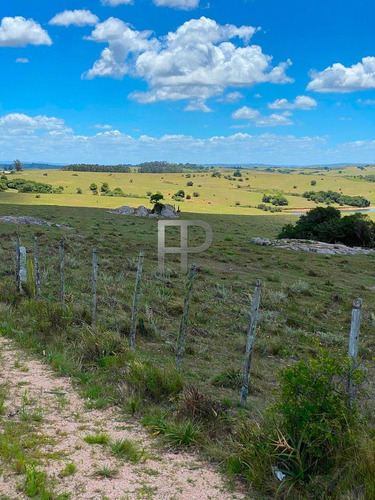 Imagen 9 de 13 de Campo En Venta Garzon 18 Has #1699