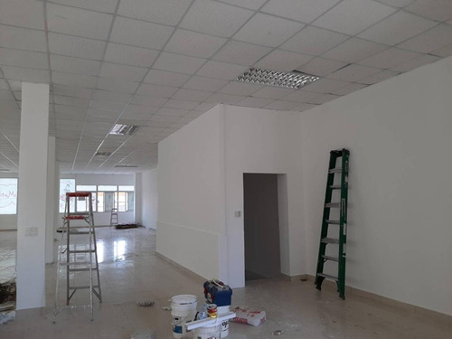Imagen 5 de 6 de Local Comercial En Alquiler En El Millon