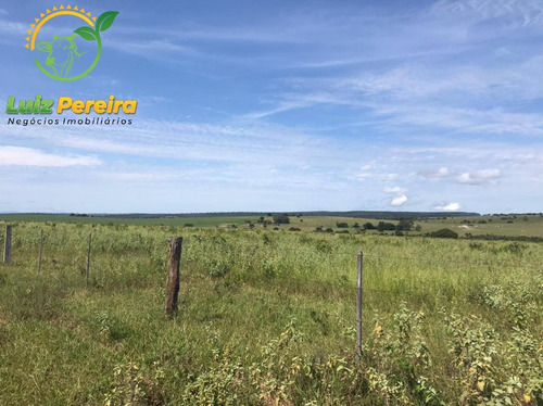 Imagem 8 de 15 de Fazenda À Venda Em Corguinho - Ms - 1.063 Hectares (dupla Aptidão) - 1941