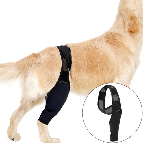 Almohadillas Protectoras De Codo Para Perros Y Mascotas, Xs