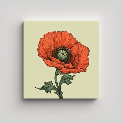 Cuadro Moderno Época Vintage Hand Drawn Poppy Flower 20x20c