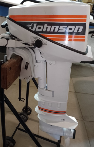 Imagen 8 de 18 de Motor Johnson Fuera De Borda Usado 9.9 Hp Pata Larga